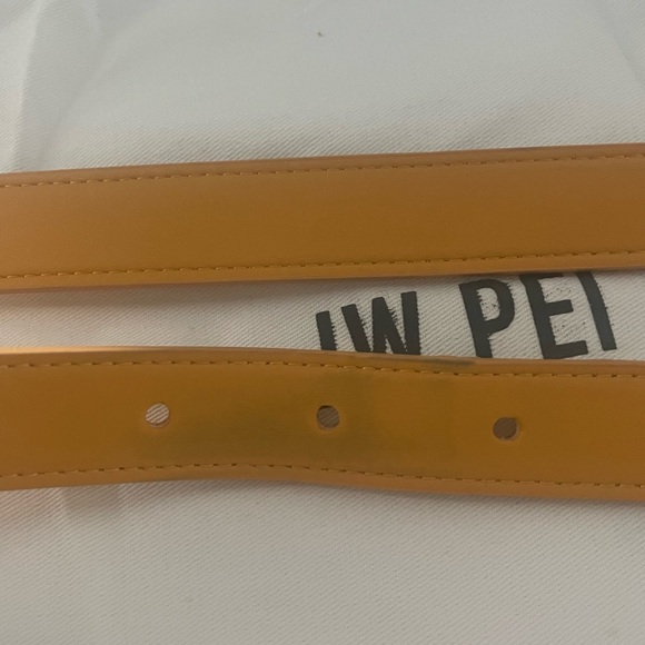 JW Pei Belt (detachable) Bag - Picture 6 of 6